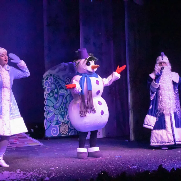 Благотворительный фонд "КРЫЛЬЯ ПОМОЩИ" пригласил своих подопечных детей на наше представление "Новогодние приключения Емели"