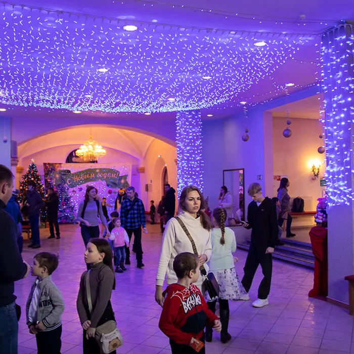 Благотворительное новогоднее представление